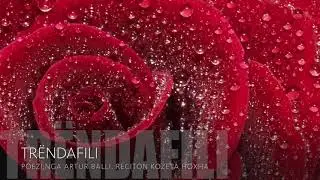 ARTUR BALLI - TRENDAFILI, Poezi