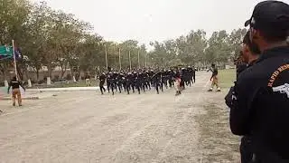 RRF COMMANDOS...BREAK THE HEART ..TIGJERS