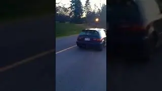 just a little D series