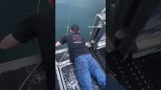 Linguado Gigante 😳😳 #viral #fishing #pesca #maisviews #pescaria #shortsfeed