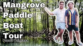 WILDLIFE IN SABANG PUERTO PRINCESA RIVER | MANGROVE PADDLE BOAT ADVENTURE