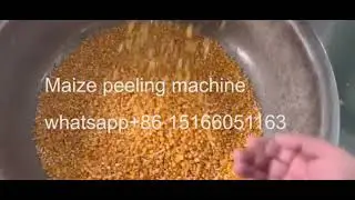 2T/H corn degerminator/Corn peeling machine/corn skin removing machine/corn grits making machine