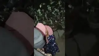 Sachal police arrest women involved in crime