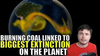Biggest Extinction Event in History Is Linked to Burning Coal