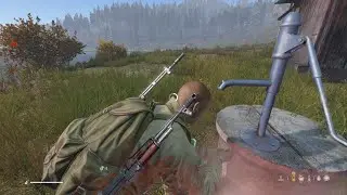 Discovering different Dayz servers, Community and Official