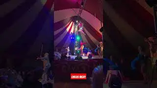 Unforgettable Circus Night: Venardos Circus