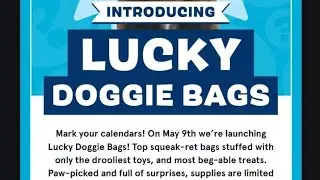 Let's open the Lucky Doggie Bags (aka 1 📦) from Bark Box!