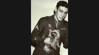 The WWII Hero Dog | Untold Stories of Bravery