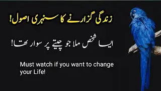Zabaq Amoz waqiya|Must watch|A Muslim boy