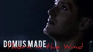 Domus Made - Thorn in the Wind - Dean Winchester - Video Edit - Dark Country Music 