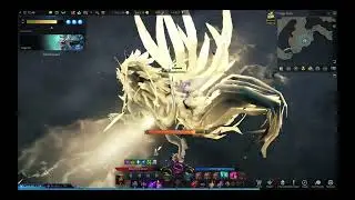 Lost Ark Gunslinger 1395 Solo Velganos 8min 55s