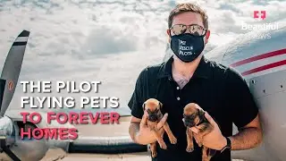 This pilot rescues pets from overcrowded shelters and flies them to forever homes | Beautiful News