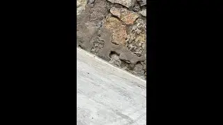 来自黑龙江大哥的km坦克300，改装了万森rc超亮顶灯，机盖射灯，内饰灯底盘灯，轮毂轮胎蓝牙音箱高音喇叭等，今天给您发出，感谢黑龙江大哥的支持，祝您玩车愉快#rc遥控车 #rc模型