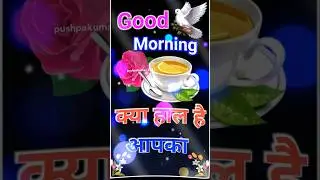 🌸 Good Morning Shayari | Subah Ki Shayari Status | Morning Motivation 🌞