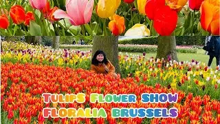 TULIPS FLOWER SHOW//FLORALIA BRUSSELS