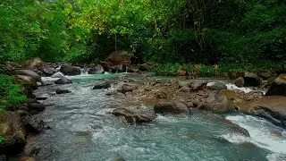 🌿 528Hz DNA Repair Your Attachment Style: Create Secure Bonds and Break Patterns of Unhealthy Love