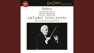 Symphony No. 2 in D Major, Op. 73: II. Adagio non troppo