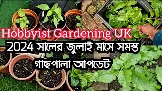 Hobbyist Gardening UK Backyard and Frontyard Garden Tour | All Plants Update in the month of July 24