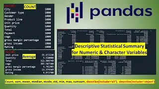 Descriptive Statistical Summary Using Pandas in Python | Describe for Numeric & Character variables