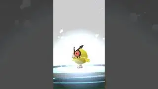 [Pokemon GO] Evolving Shiny Hoothoot into Shiny Noctowl! #pokemongo #shinypokemon #noctowl