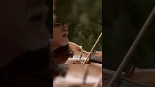 Piney Mountains -- Sit Down Buddy