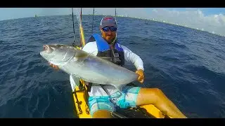 Huge Amberjack and big Kingfish, Kayak Fishing Zone
