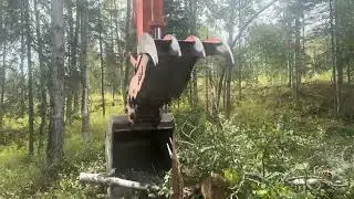 Hitachi ZX200-3 Shovel Logging/Brushing 8/26/25. 