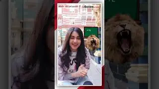 अदा शर्माने सादर केली शाळेतील मराठी कविता; अभिनेत्रीचं मराठी ऐकून चाहते अवाक | Adah Sharma Marathi