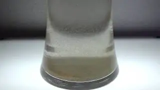 LIVE Copepods Visit - PrecisionAquaTech.com