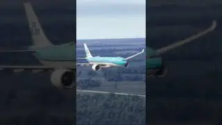They Survived The Most Dangerous Plane Landing Ever - 014