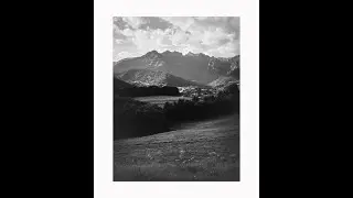 Prime prove con una fotocamera grande formato (Intrepid 4x5)