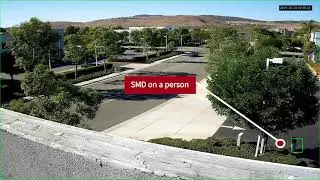 Dahua SMD Setup and features through the camera