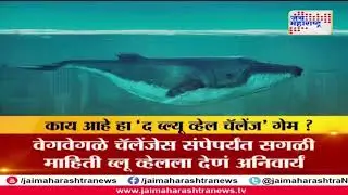 What is Blue whale game challenge?