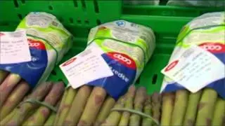 Gli Asparagi di Mesola (seconda parte)
