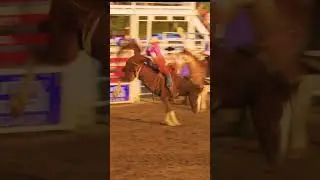 CLASSIC PRCA OAKLEY 🤠 TREVOR BRAZILE BAREBACK BRONC RIDING #prorodeo.org #shorts #viral #trending