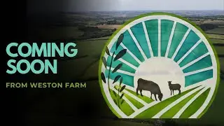 Coming soon from Weston Farm