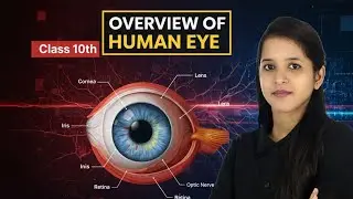 Human Eye & The Colourful World | Class 10 Physics Chapter 10 Full Overview🔥#class10physics