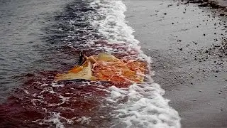 JAWS (1975) - Alex Kintners raft (deleted music)