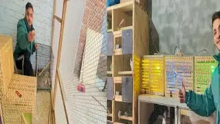 Mashallah New Finches a Gai Hain