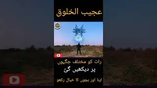 Ajeeb Ul Khalq | Jinat Aur Ghaibi Makhlooq Ka Haqeeqi Waqia #viral