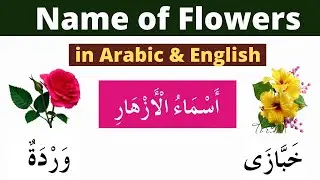 Name of Flowers in Arabic. Arabic Vocabulary. Learn Arabic with Salim Qasmi.