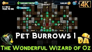 Pet Burrows 1 | The Wonderful Wizard of Oz #7 | Diggy's Adventure