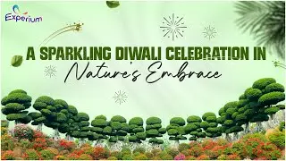Festival of Lights at Experium Eco Park || Diwali 2025 Celebration Highlights || Experium Park