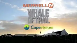 Merrell Whale of Trail