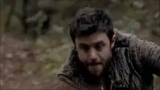 ~ Wolfblood Tribute ~