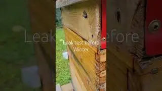 Hive Leak Test while Killing Mites #bees #beehive #swohiobees