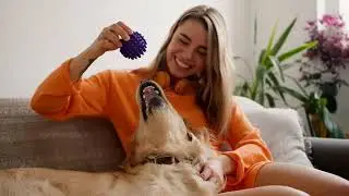 8 Surprising Habits of Female Dogs You Never Knew