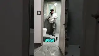 L'attaque des chatons affam&eacute;s