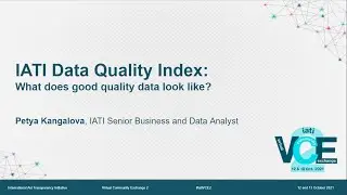 VCE2: IATI Data Quality Index: what does good quality data look like?