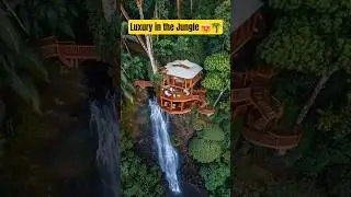 Luxury Treehouse Stay in Costa Rica 😍🌴✨#shorts